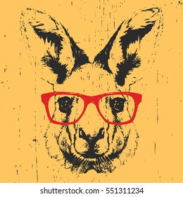 Portrait of Kangaroo with glasses. Hand drawn illustration. Vector
