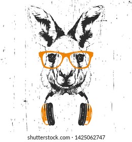 Portrait of Kangaroo with glasses and headphones. Hand-drawn illustration. T-shirt design. Vector