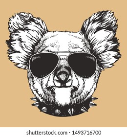 Portrait of Koala with collar and sunglasses. Hand-drawn illustration. Vector.