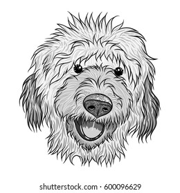 Porträt von Labradoodle. Handgezeichnete Hundegrafik. T-Shirt und Tätowierungskonzept in schwarz-weiß. Vektorillustration.