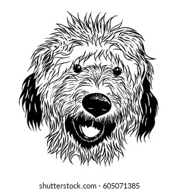 Portrait of  Labradoodle. Hand drawn dog illustration. T- shirt and tattoo concept design in black white. Vector. svg