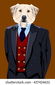 Portrait of a Labrador dog in the men's suit 