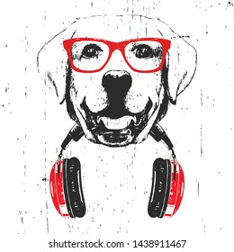 Portrait of Labrador with glasses and headphones. Hand-drawn illustration. T-shirt design. Vector