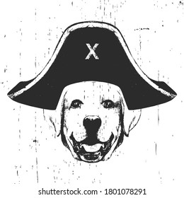 Portrait of Labrador with a pirate hat. Vector. 