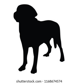 Portrait of Labrador Retriever vector illustration isolated. Beware of dog. Friendly family dog.