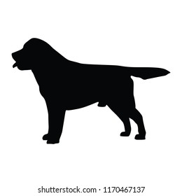 Portrait of Labrador Retriever vector illustration isolated. Beware of dog. Friendly family dog.