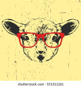 Portrait of Lamb with glasses. Hand drawn illustration. Vector
