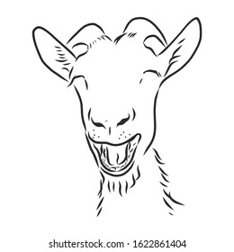 funny goat outline images stock photos vectors shutterstock https www shutterstock com image vector portrait laughing goat funny animal vector 1622861404