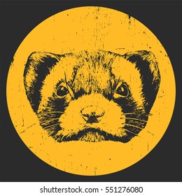 Portrait of Least Weasel. Hand drawn illustration. Vector