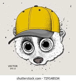 Portrait of a lemur in a cap. vector illustration