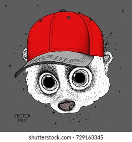 Portrait of a lemur in a cap. vector illustration