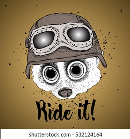 portrait of a lemur in a steampunk helmet. Vector illustration