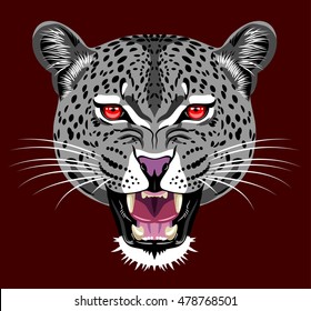 Portrait of leopard