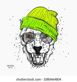 Portrait of a leopard in the cap. Can be used for printing on T-shirts, flyers and stuff. Vector illustration