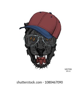 Portrait of a leopard in the cap. Can be used for printing on T-shirts, flyers and stuff. Vector illustration