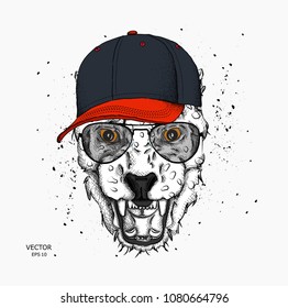 Portrait of a leopard in the cap. Can be used for printing on T-shirts, flyers and stuff. Vector illustration