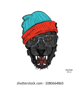Portrait of a leopard in the cap. Can be used for printing on T-shirts, flyers and stuff. Vector illustration