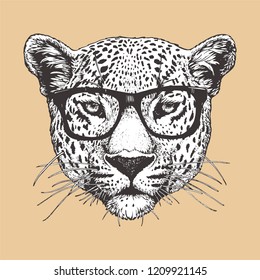 Portrait of Leopard with glasses, hand-drawn illustration, vector