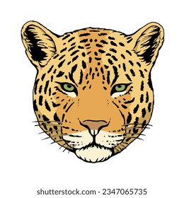 Retrato de Leopard. Ilustración dibujada a mano. Vector