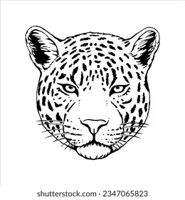 Portrait of Leopard. Hand-drawn illustration. Vector