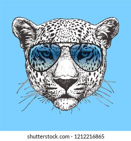 Portrait Leopard Sunglasses Handdrawn Illustration Vector Stock Vector ...