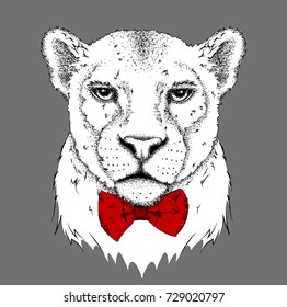 Portrait of a leopard with tie. Can be used for printing on T-shirts, flyers and stuff. Vector illustration