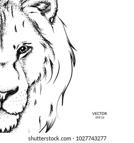 Portrait of a lion. Can be used for printing on T-shirts, flyers and stuff. Vector illustration
