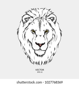 Portrait of a lion. Can be used for printing on T-shirts, flyers and stuff. Vector illustration
