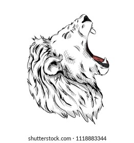 Portrait of a lion. Can be used for printing on T-shirts, flyers and stuff. Vector illustration