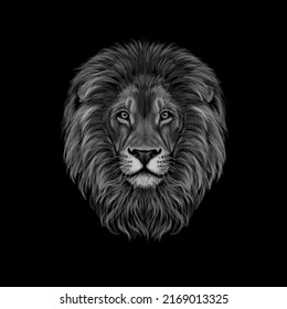 Portrait of a lion lion, lion in the dark, illustration abstract. vector. eps