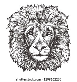 Portrait of Lion. Hand-drawn illustration. Vector