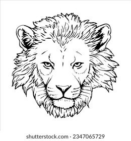Retrato de León. Ilustración dibujada a mano. Vector