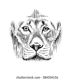 Portrait of a lion on isolated background. Realistic image. Hand Drawn doodle illustration. Sketch for card, cover design. Black and white Animal background. Lion head.