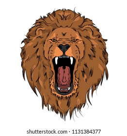 Portrait of a lion. Vector illustration