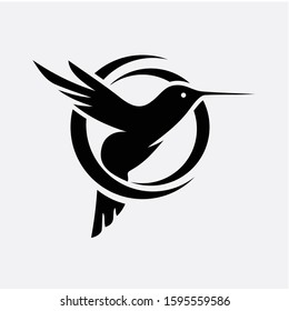 portrait of a little bird tit flying wide spread wings and flushing feathers on black isolated background
