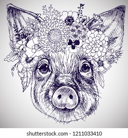 The portrait of a little pig with floral wreath, sign of the year 2019. Hand-drawn vector illustration of a realistic animal head.