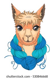 Portrait of a llama with a skein of wool on the neck.Vector illustrated.