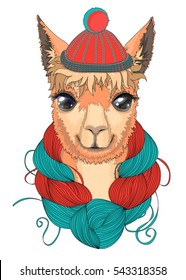 Portrait of llamas in a knitted hat with a skein of wool on the neck.
