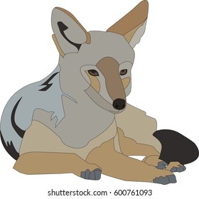 Portrait of a lying blackbacked jackal, hand drawn vector illustration isolated on white background