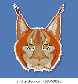 Portrait of a lynx. Vector illustration.