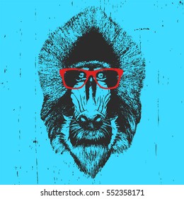Portrait of  Mandrill with glasses. Hand-drawn illustration. T-shirt design. Vector