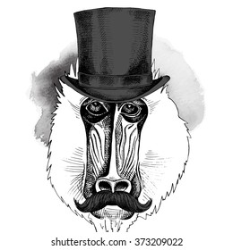 Portrait of a Mandrill with mustache wearing hat bowler. Vector illustration.