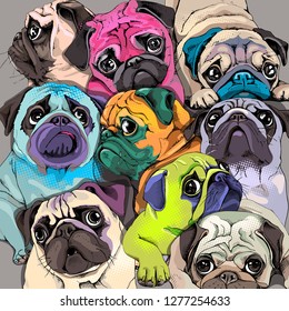 Retrato de muitos pugs. Composição em um estilo Pop Art colorido brilhante. Cartão de humor, composição de camiseta, estampa de estilo desenhado à mão. Ilustração vetorial.