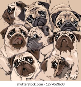 Portrait of many pugs. Composition in sepia Art style. Humor card, t-shirt composition, hand drawn style print. Vector illustration.