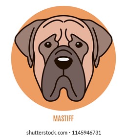 Portrait of Mastiff. Vector illustration in style of flat