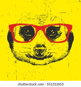 Portrait of Meerkat with glasses. Hand drawn illustration. Vector