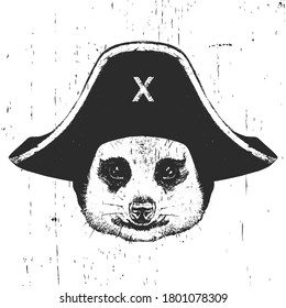 Portrait of Meerkat with a pirate hat. Vector. 