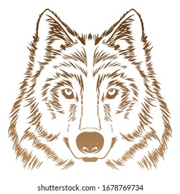 retrato del poderoso lobo en marrón