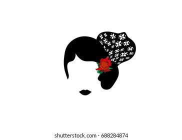 Portrait of modern Latin or Spanish woman, Lady with accessories peineta and red flower , Icon isolated, Vector illustration transparent background