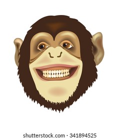 portrait of a monkey